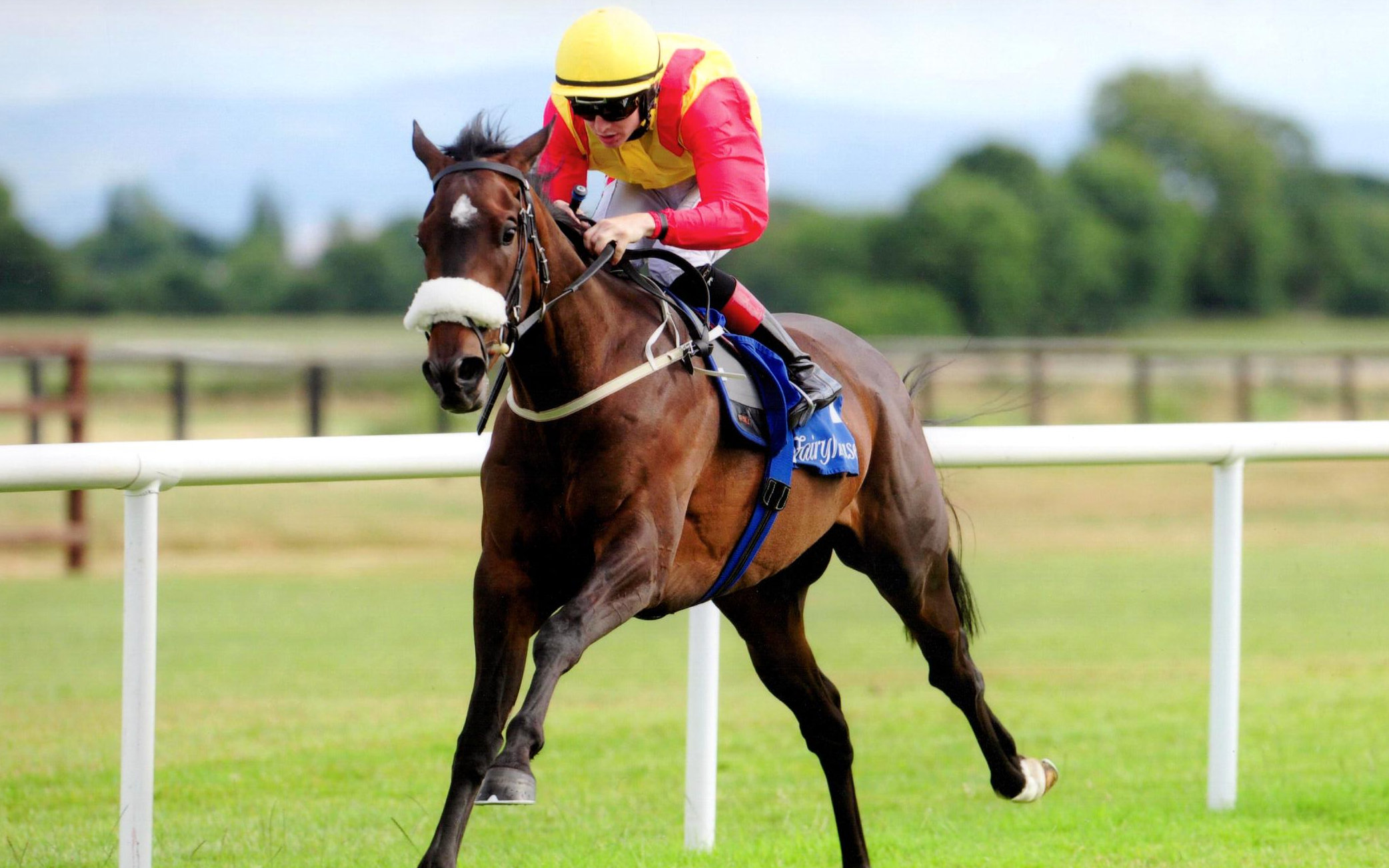 ELYSIAN PLAINS wins the opener with Colin Keane on board at Fairyhouse, 18th July 2018